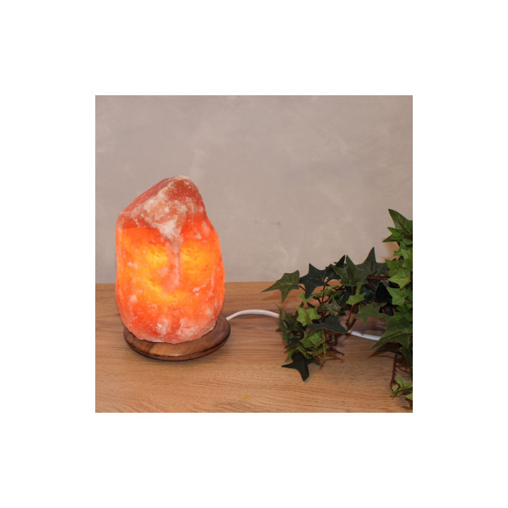 USB‑ Salzkristall – 10 cm mit Holzsockel